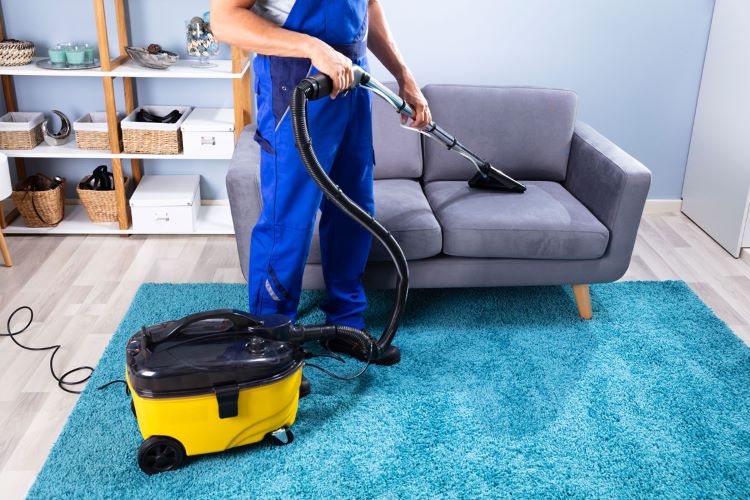professional upholstery cleaning