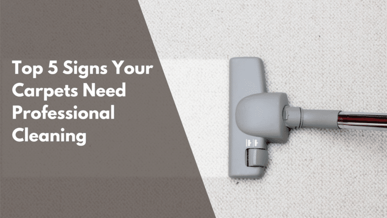 NY Steam Blog posts collection 7 Top 5 Signs Your Carpets Need Professional Cleaning