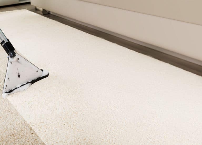 carpet cleaning ny