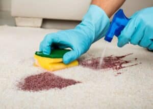 shag rug cleaning