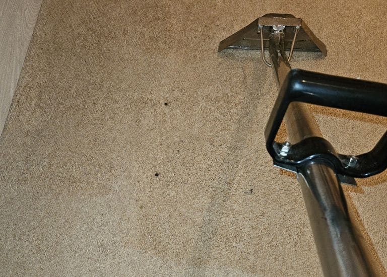 how long does carpet cleaning take?