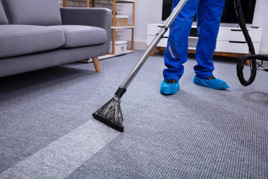 carpet cleaner