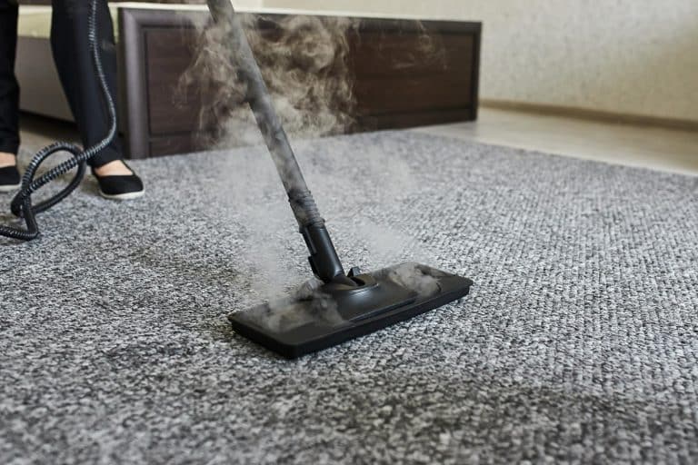 carpet steam cleaners