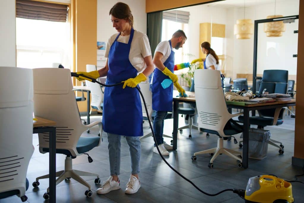 professional upholstery cleaning