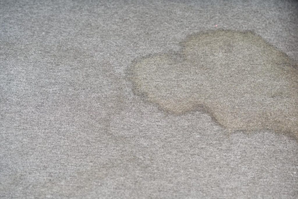 carpet wet spot
