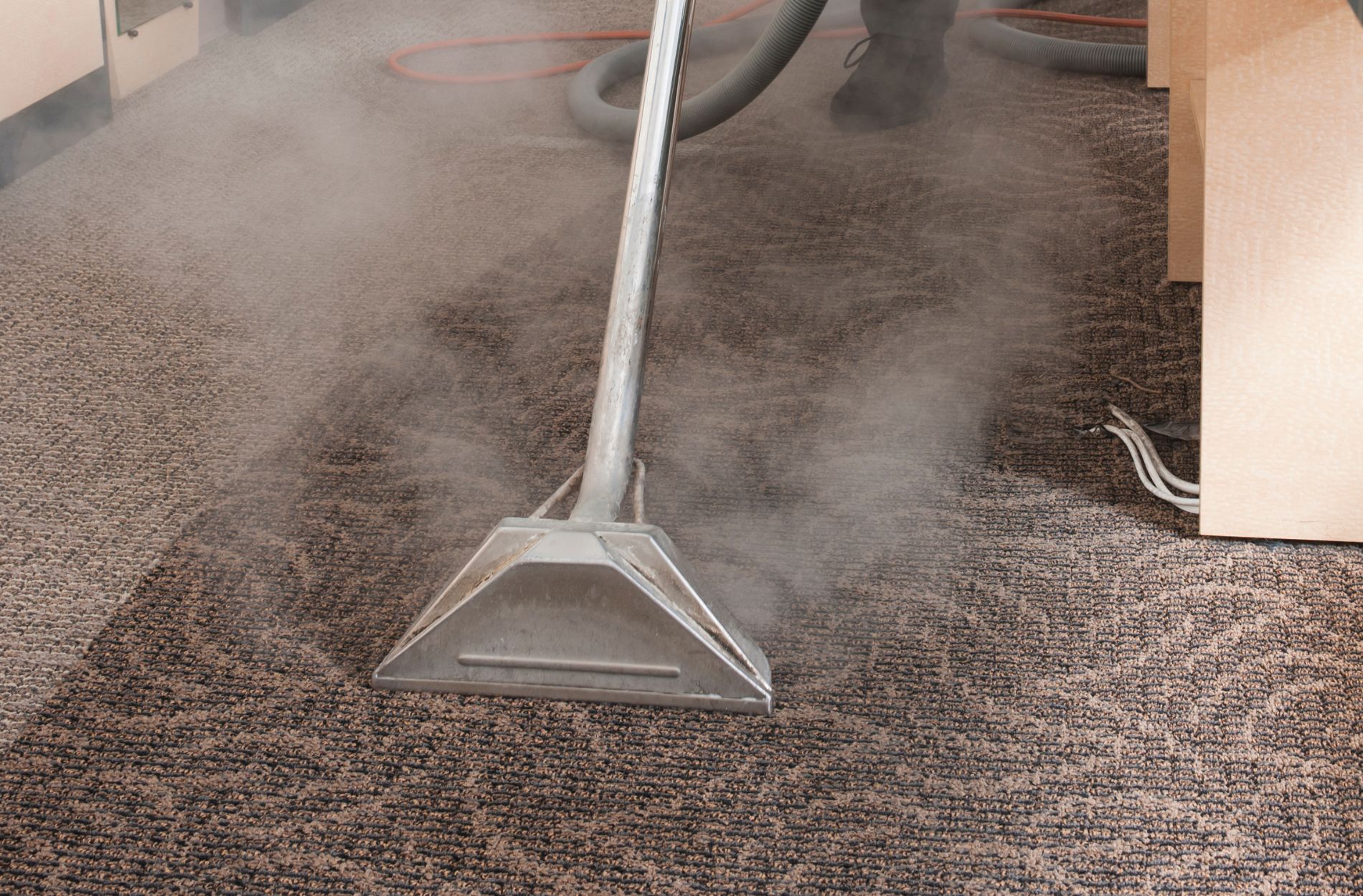 Choosing The Best Carpet Cleaning Service 4 carpet steam cleaning