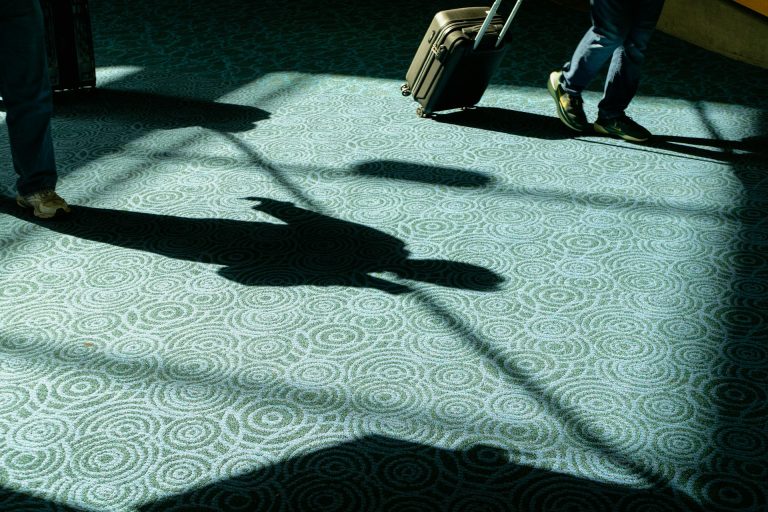 carpet steam cleaning